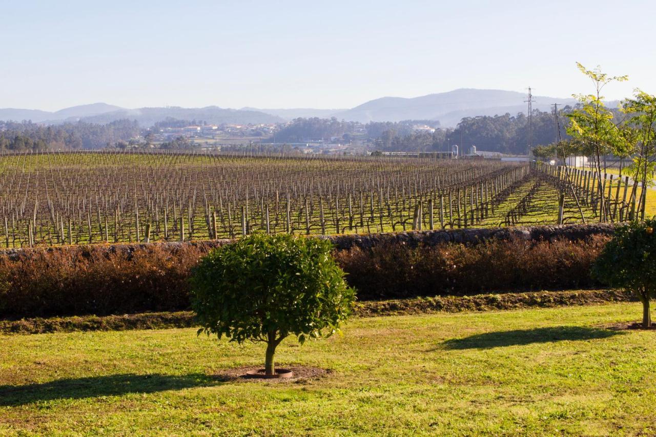 Solar De Vila Mea Ξενοδοχείο Barcelos Εξωτερικό φωτογραφία